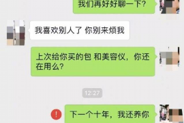 河源如何避免债务纠纷？专业追讨公司教您应对之策